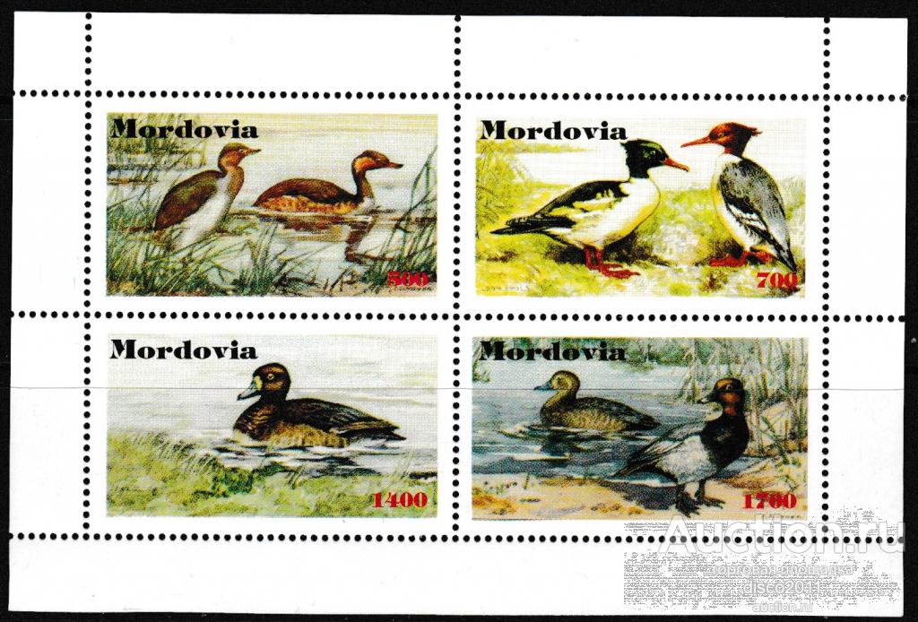 Мордовия Утки Водоплавающие птицы Фауна сцепка**