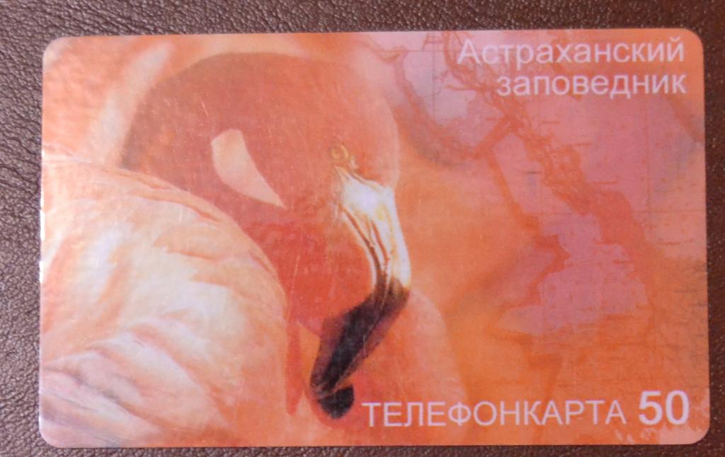 Телефонная карта СТК Астрахань -  Астраханский заповедник - Розовый Фламинго  50 ед  - 64