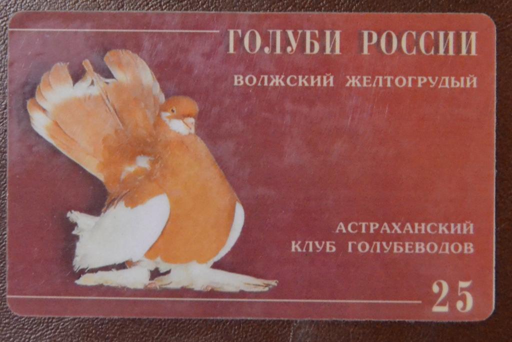 Телефонная карта СТК Астрахань -  Голуби России Астраханский клуб Голубеводов  - 25  ед  - 64