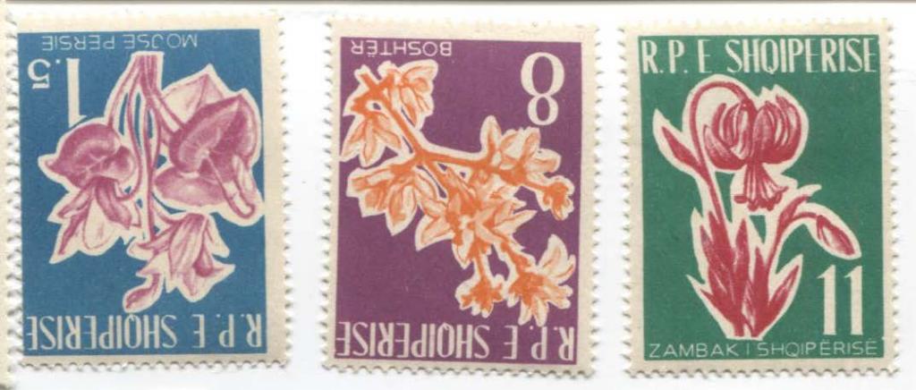 1961 Албания. Цветы 3м(Михель - 15е).*