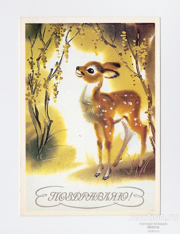 Открытка СССР Поздравляю Каневский 1989 чистая олень олененок лес природа животные фауна деревья