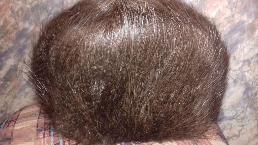 Шапка.Мех. Бобёр. Зимняя. Полная. Головной убор. Дёшево. Расспродажа.