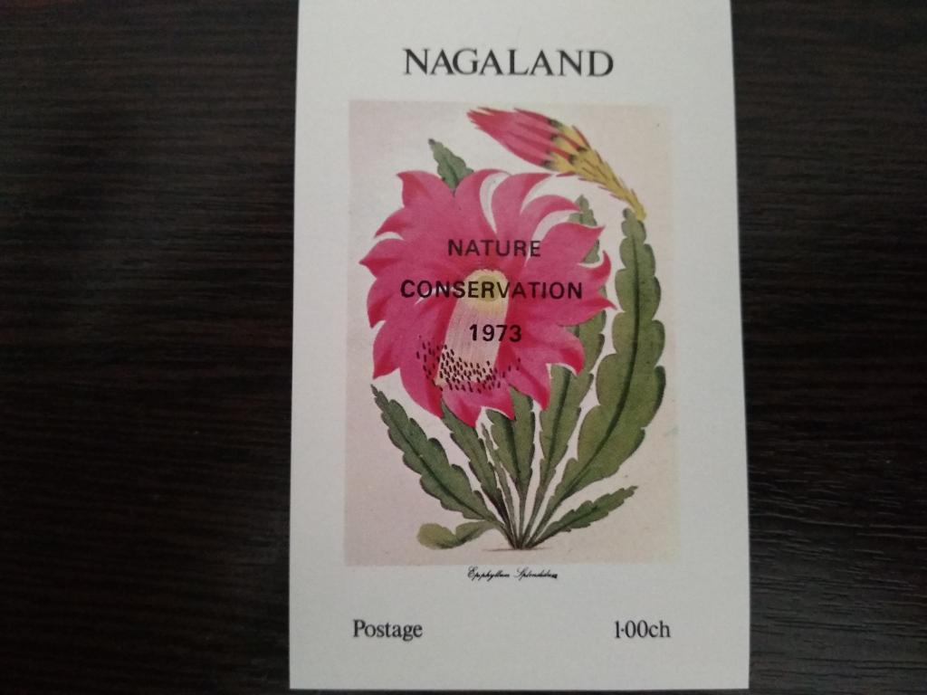 Марки.Флора.Нагаленд.1973.Блок.Чистый.Надпечатка.Сост.идеальное