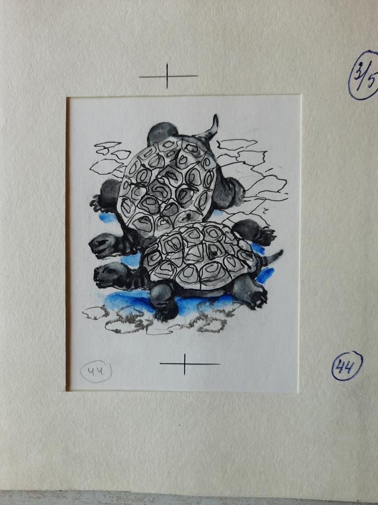 Капустина Т.П. (1935-2020) Черепашки. Иллюстрация к книге Н.И.Сладкова