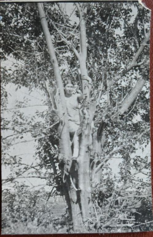 Фото Девушка на Дереве  Июнь 1940 год