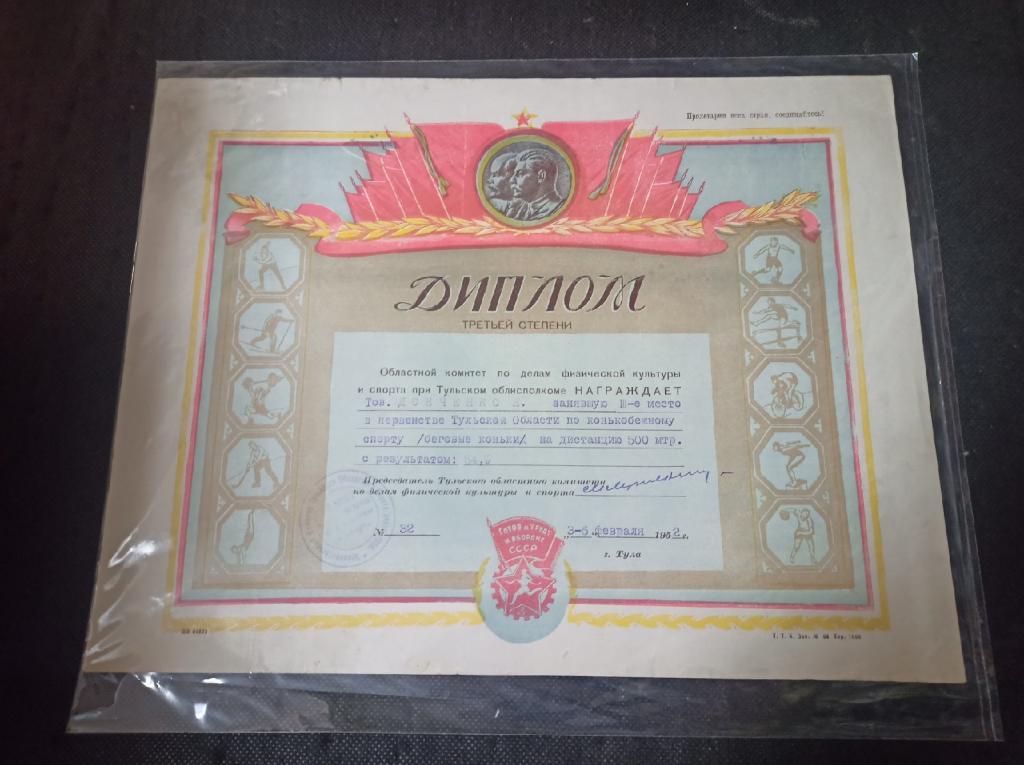 Диплом конькобежный спорт. Тульская область