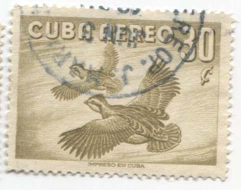 1956 Куба 2 Птицы над водой.гаш
