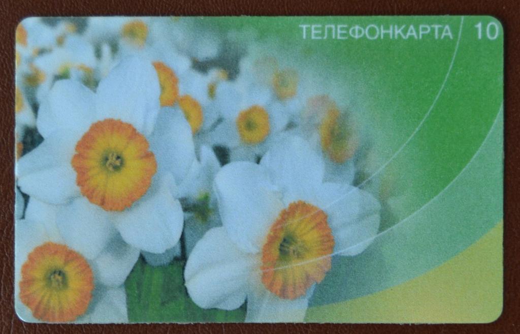 Телефонная карта Связьинформ Астрахань Флора  Цветы Нарциссы   10  ед    - 64