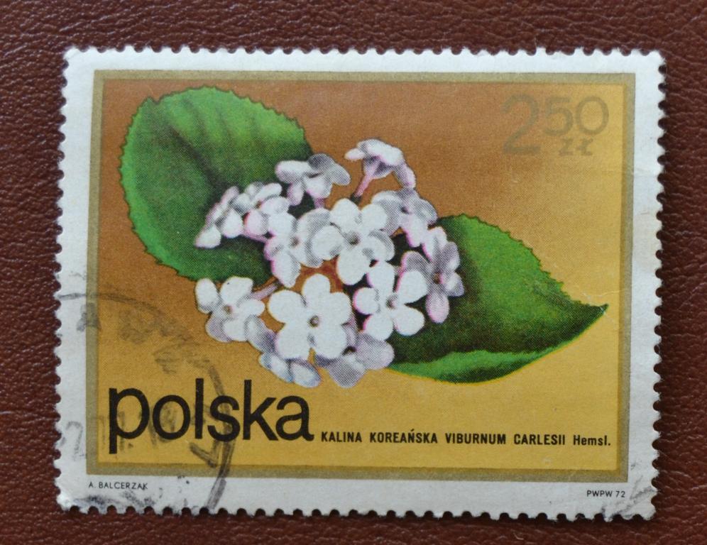Польша 1972 год Флора Цветы кустарников Гаш
