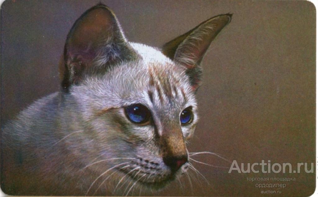 Кубтелеком. Серия "кошки". Таксофонная карта 100 единиц.