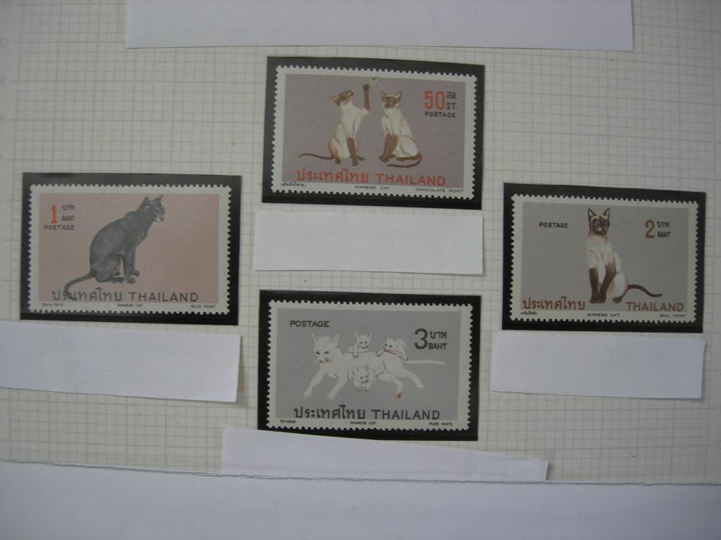 Таиланд 1971 фауна: кошки   MNH