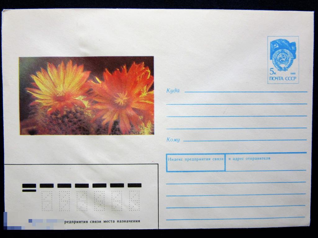 1990 ХМК СССР Кактус Пародия огнецветная