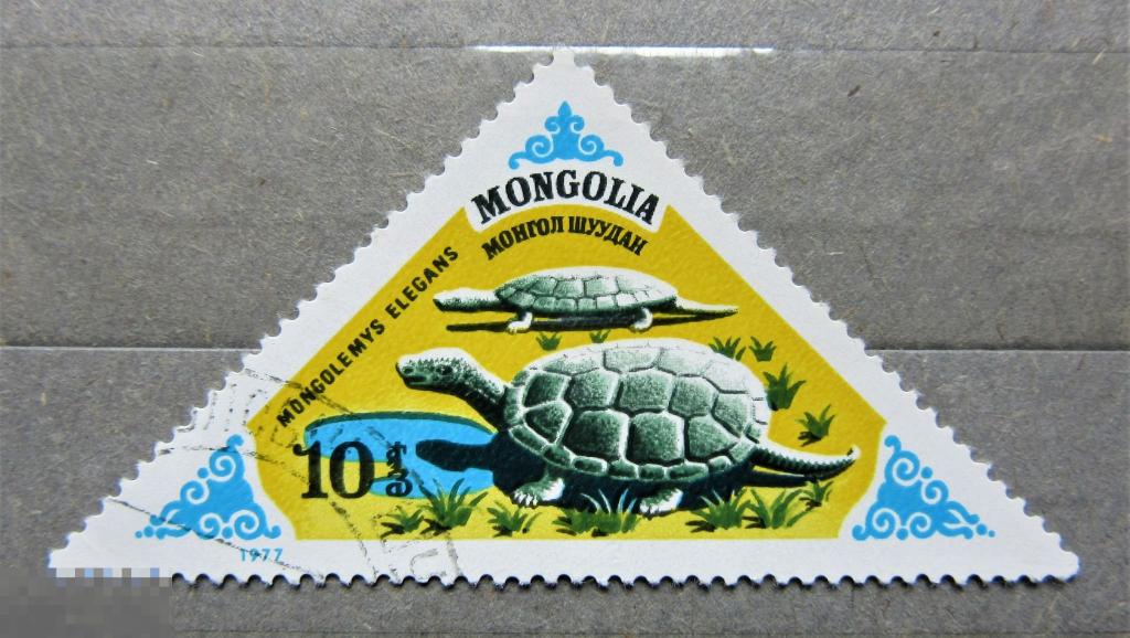 Монголия 1977 г. Фауна. Черепаха. 1м.гаш.