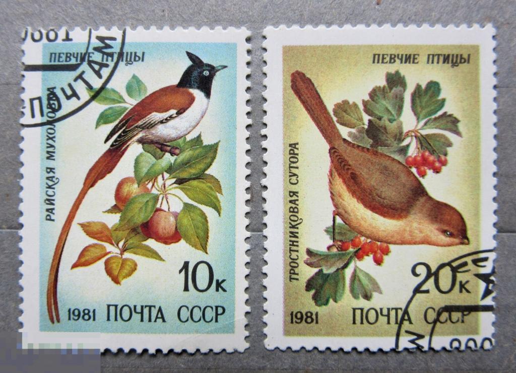 СССР 1981 г. Фауна. Певчие птицы. 2м.гаш.