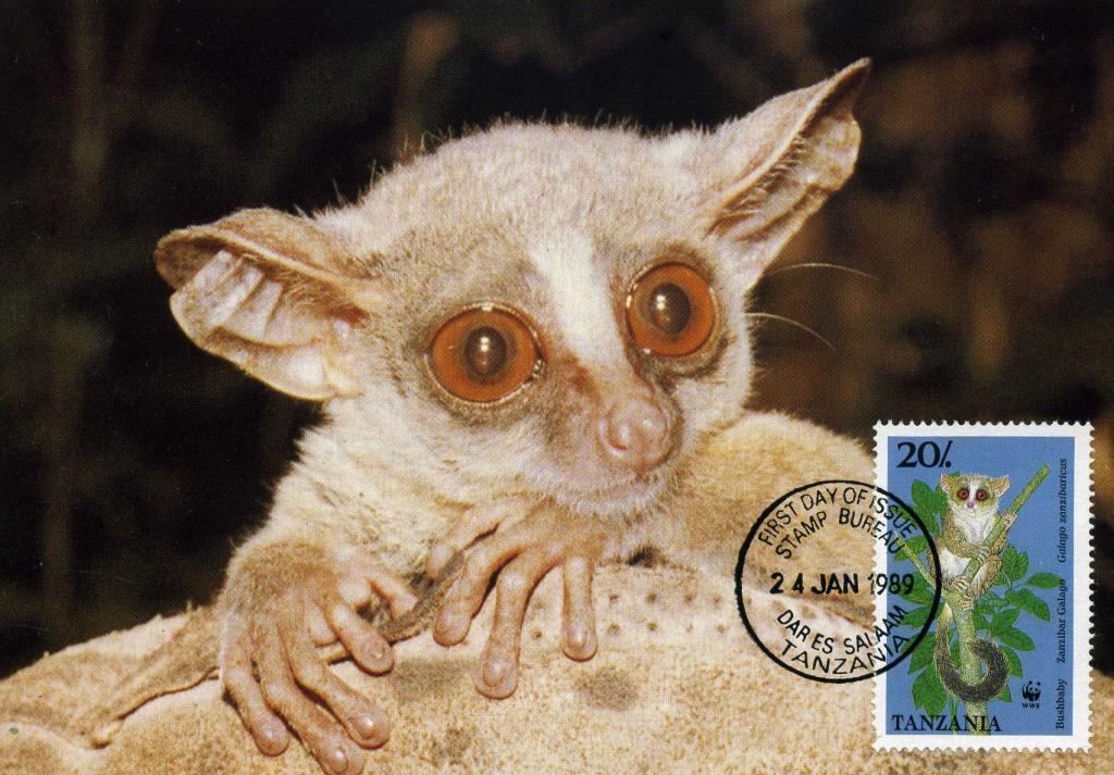 Танзания (0561) Картмаксимум WWF Обезьяны Лемуры 1989 год Фауна