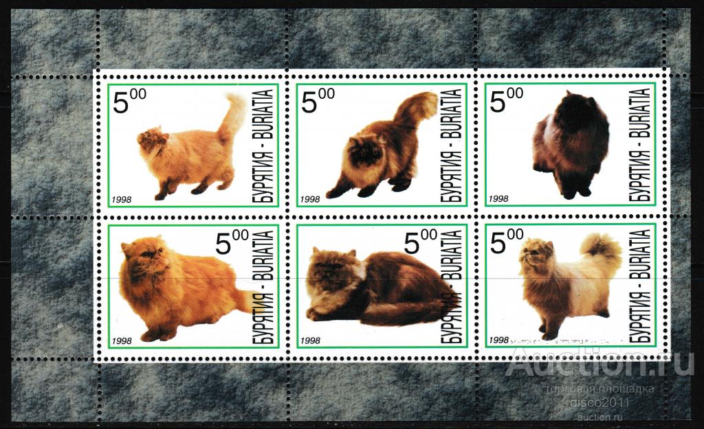 Бурятия 1998 Кошки Кошачьи Домашние животные Фауна сцепка**