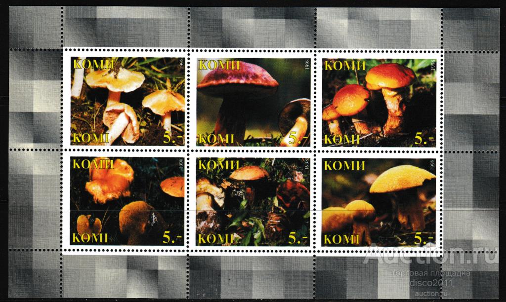 Коми 1998 Грибы Флора сцепка**