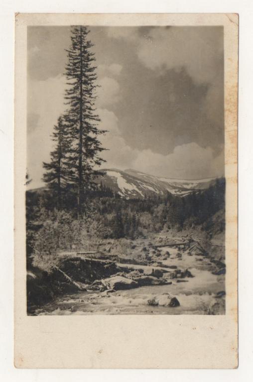 1940 г. Долина реки Прут. Станиславская (Ивано-Франковская) обл. Украина.