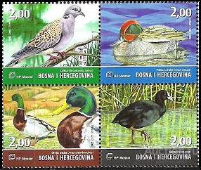 Босния и Герцеговина (Хорватская). Фауна. Птицы. Сцепка