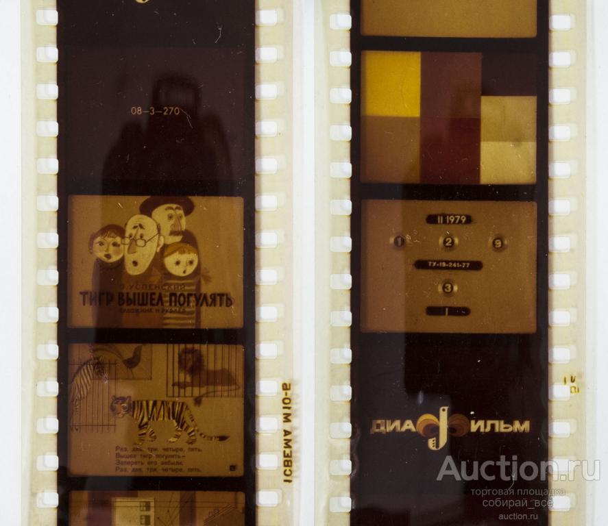 Диафильм Тигр вышел погулять 1979 г (32)