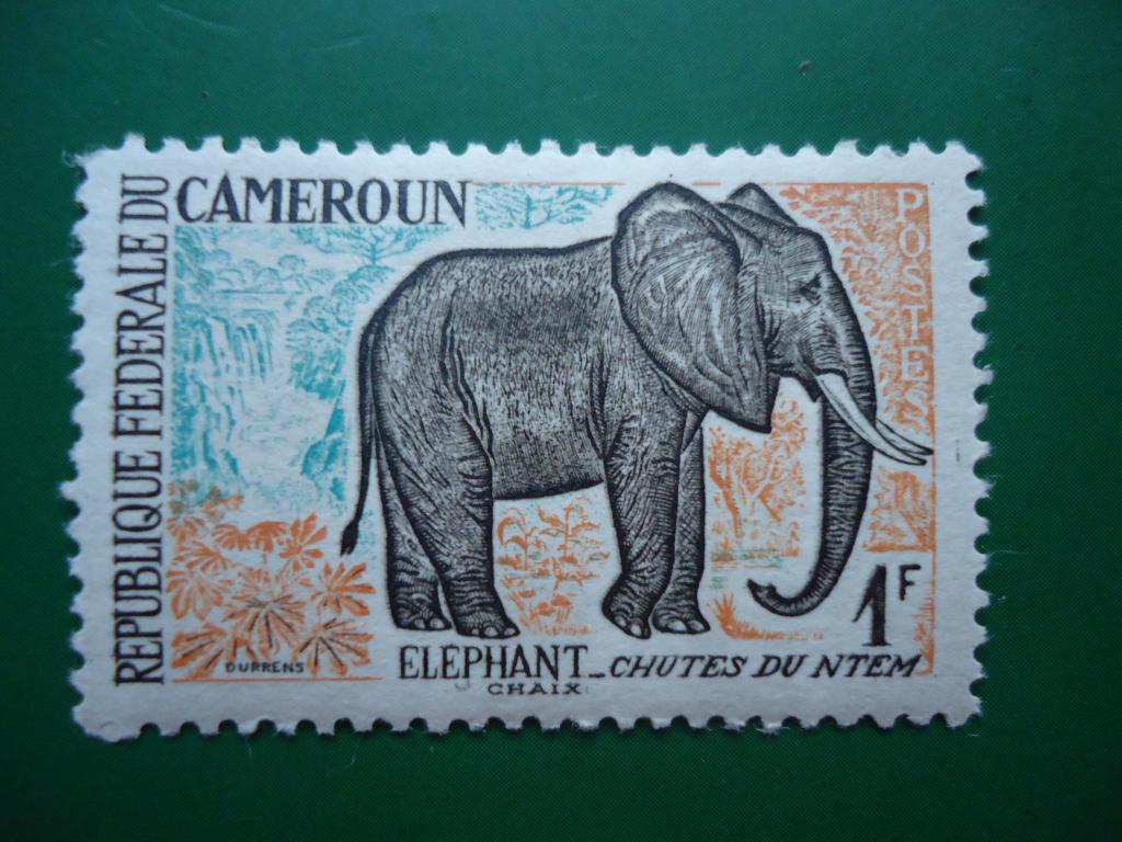 1962 г.   Камерун  фауна  MNH.