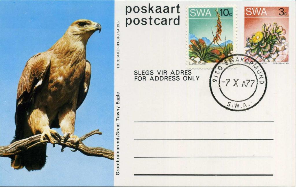 Юго-Западная Африка SWA (0640) Почтовая карточка Животные Африки Птицы Орлы Фауна