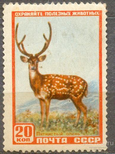 СССР 1957 СК 1909 **  ФАУНА ОЛЕНЬ