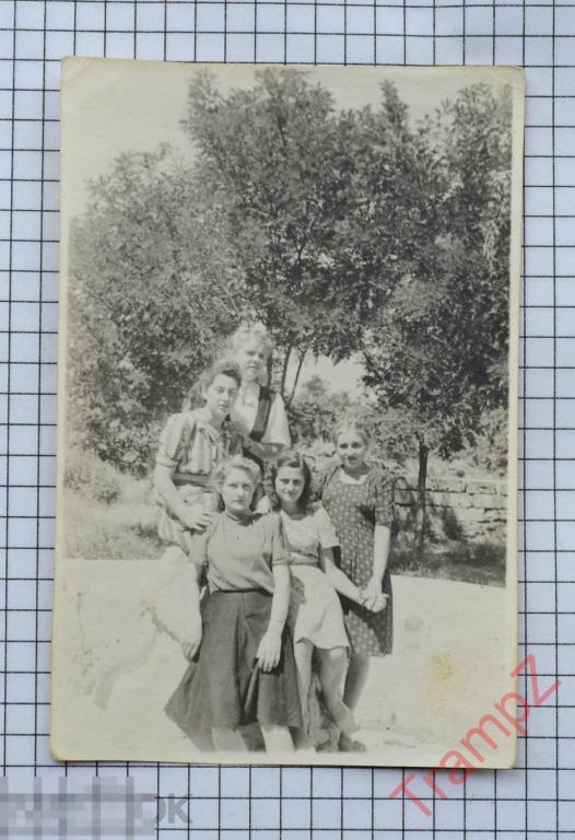 Фотография №5250 