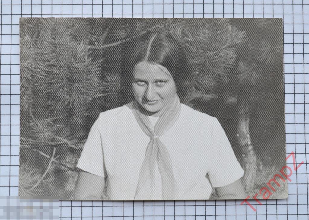 Фотография №5243 