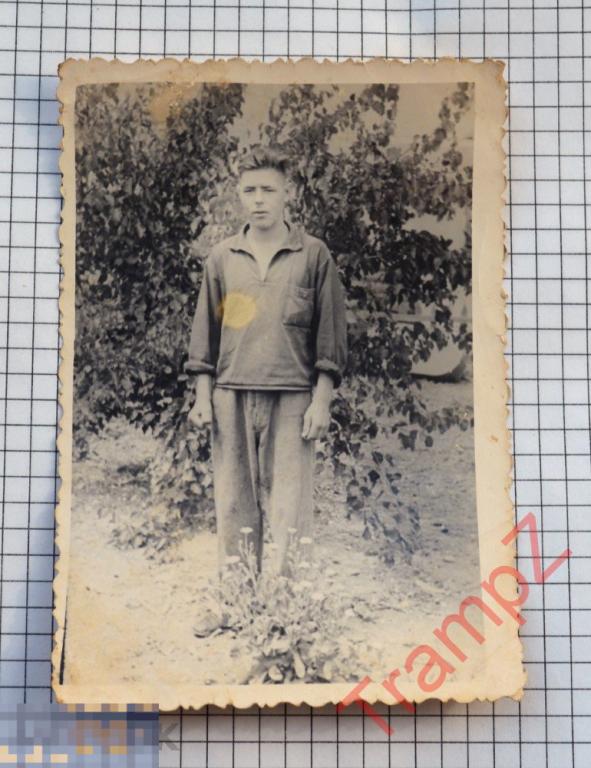 Фотография №4819 