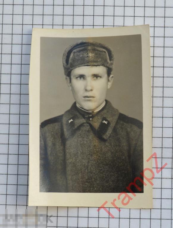 Фотография №4946 