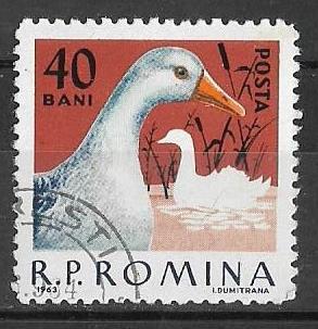 Румыния 1963 г. Фауна Домашняя птица, гаш.