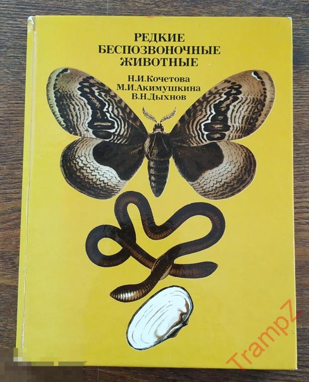 Классификация беспозвоночных. Беспозвоночные животные примеры. Классификация простейших и беспозвоночных животных. Классификация позвоночные и беспозвоночные. Беспозвоночных животных.