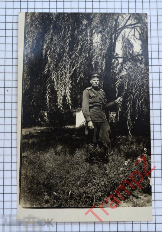 Фотография военнослужащий солдат старший сержант погоны форма галифе #03 