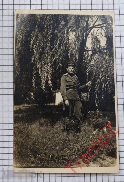 Фотография военнослужащий солдат старший сержант погоны форма галифе #03 