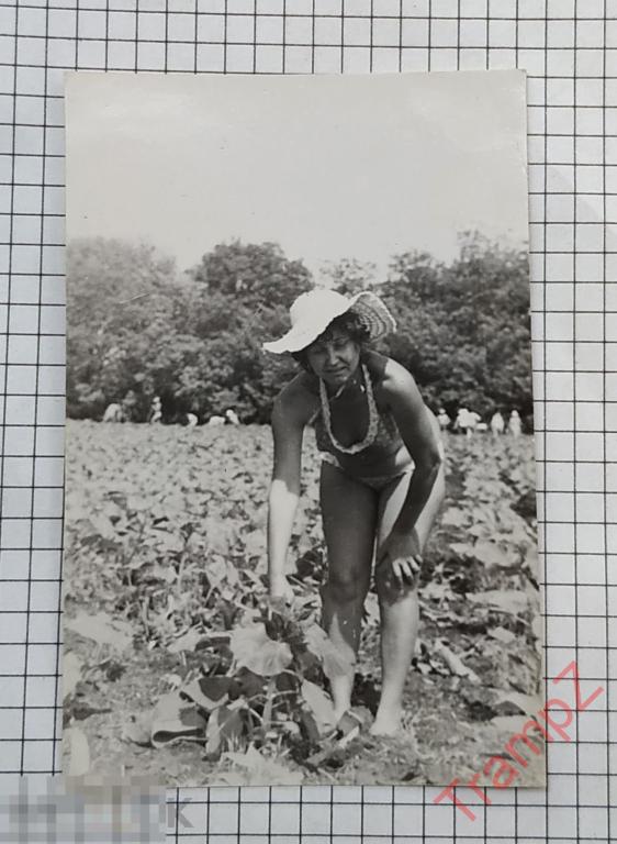 Фотография женщина в купальнике и шляпе на поле с подсолнухами #02* 