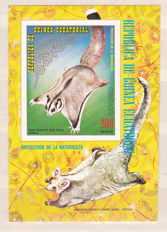 Марки Экваториальная Гвинея 1974 г. Белка Блок бз Летяга MNH OG ** Фауна