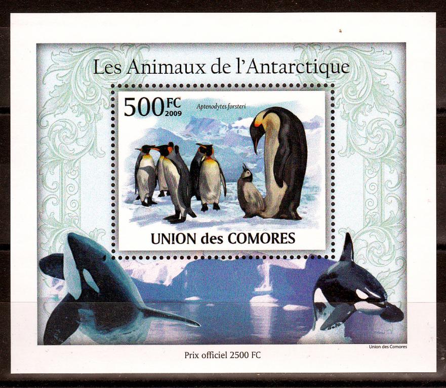 Марки Коморы Коморские острова 2009 г. Пингвины Блок MNH ** Фауна Птицы