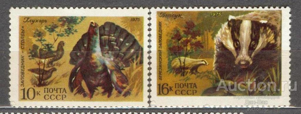 СССР 1975 СК 4448 ** 4449 ** ФАУНА ГЛУХАРЬ И БАРСУК С ЛАКОВЫМ ПОКРЫТИЕМ