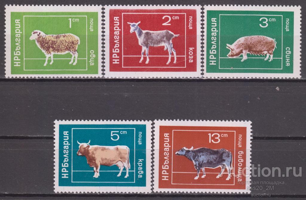 Болгария 1974 домашние животные Mi2319-2323 MNH