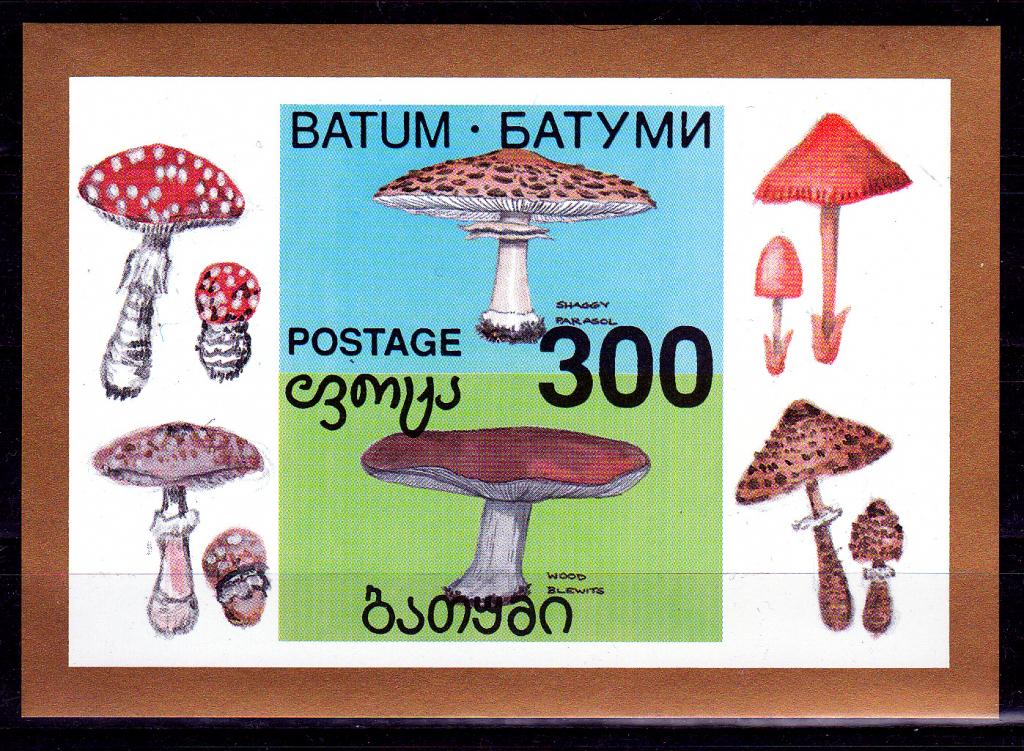 Марки Грузия Батуми Абхазия 1994 г. Ядовитые грибы Блок MNH OG ** Флора