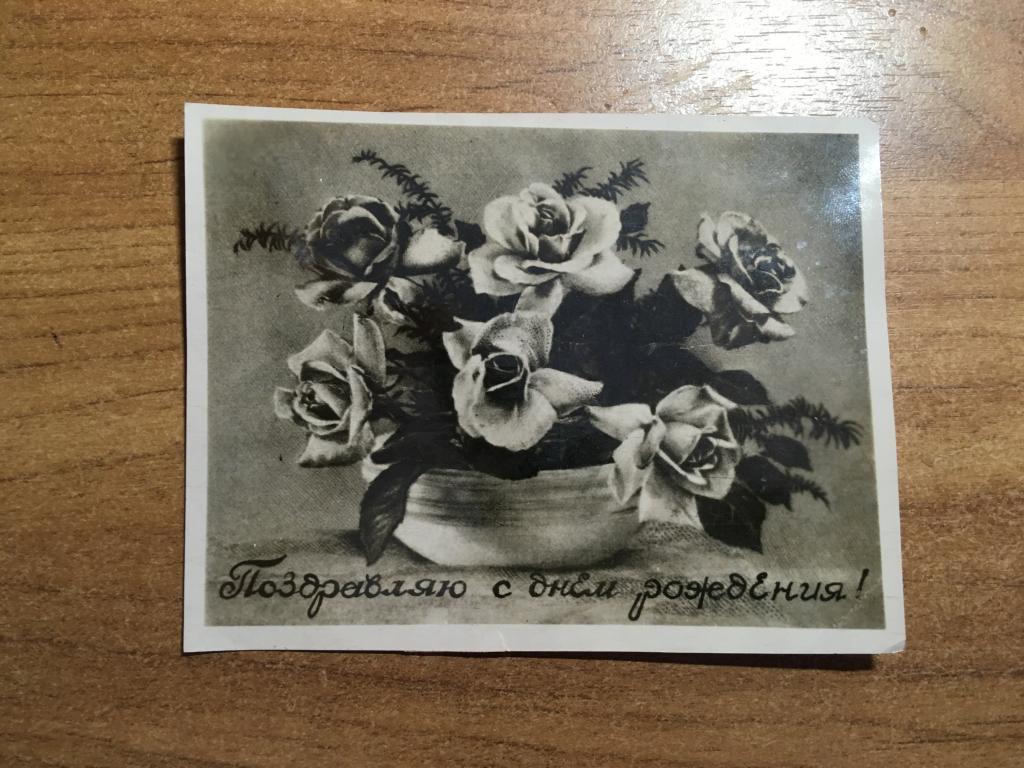 1951 г. Фото открытка Старинная. Ретро. Цветы. Александрова. Открытка Старинная. Фото Фотография
