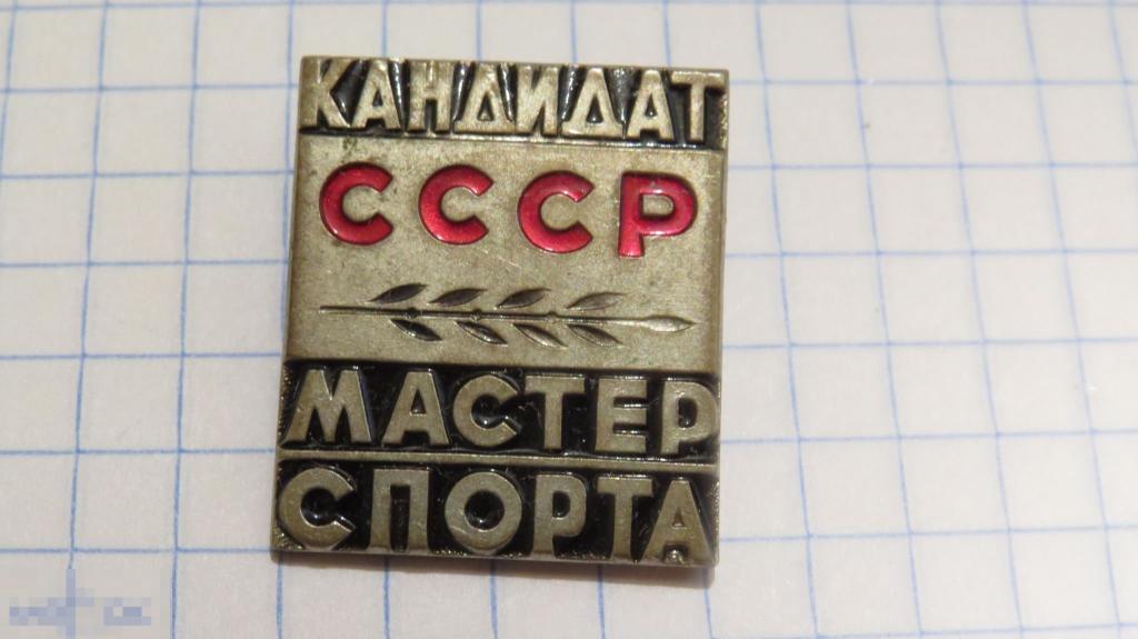 Мастер спорта рсфср