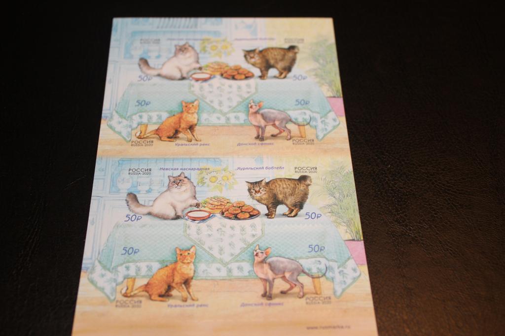 2020 год.   ФАУНА РОССИИ. КОШКИ    (лист)