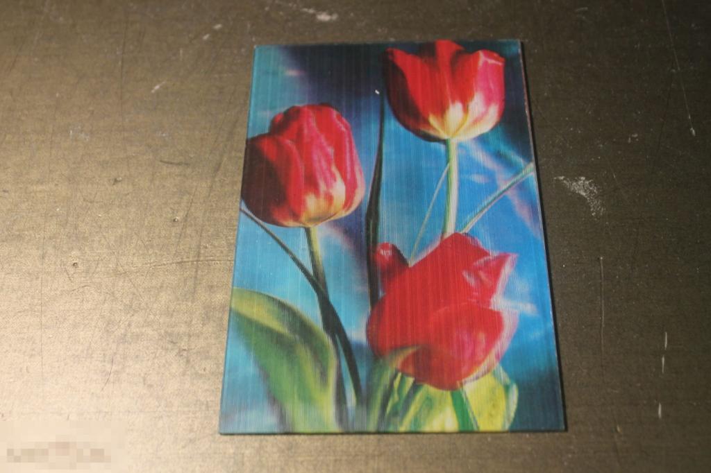 ОТКРЫТКА. СТЕРЕО. СТЕРЕОФОТО. ТЮЛЬПАНЫ. СТЕРЕООТКРЫТКА. 