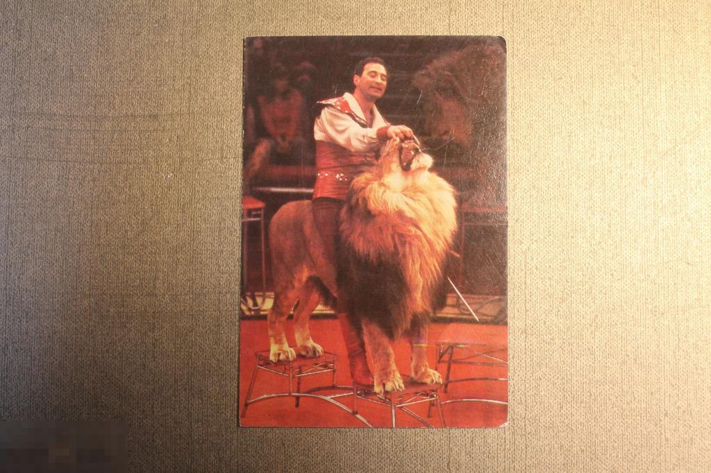 КАРМАННЫЙ КАЛЕНДАРЬ. КАЛЕНДАРИК. 1984 ГОД. ЦИРК. БОРИС БИРЮКОВ. 