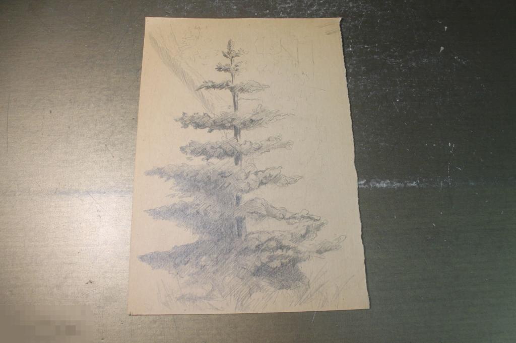 КАРТИНА. КАРАНДАШ. БУМАГА. ЁЛКА. ЕЛЬ. * 