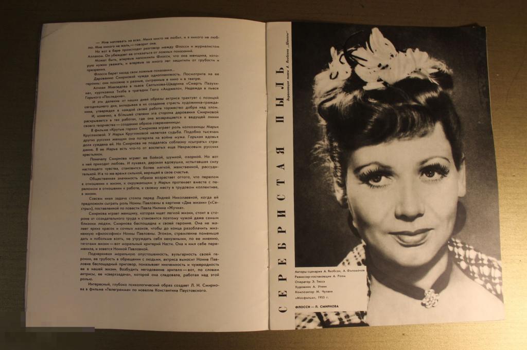 дневник смирновых. смирнова 1929 года.