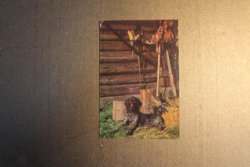 КАРМАННЫЙ КАЛЕНДАРЬ. КАЛЕНДАРИК. 1977 ГОД. ОХОТА. СОБАКА. 