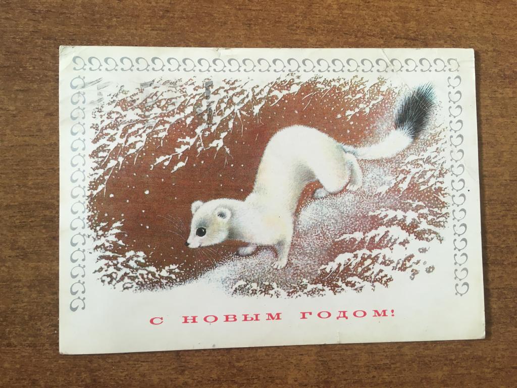 1978 г. С Новым годом. Исаков. Открытка. Новый год. Открытое письмо.